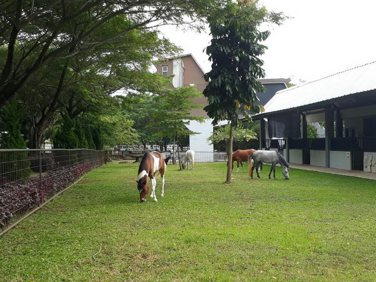 Apm Equestrian Resort Tangerang Esterno foto